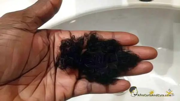 Afro hair shedding vs. breakage