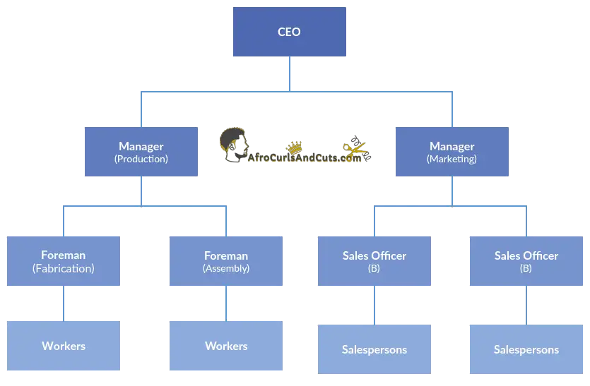 Organisational Structure Infographic