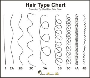 black male hair type chart (hair fibers)