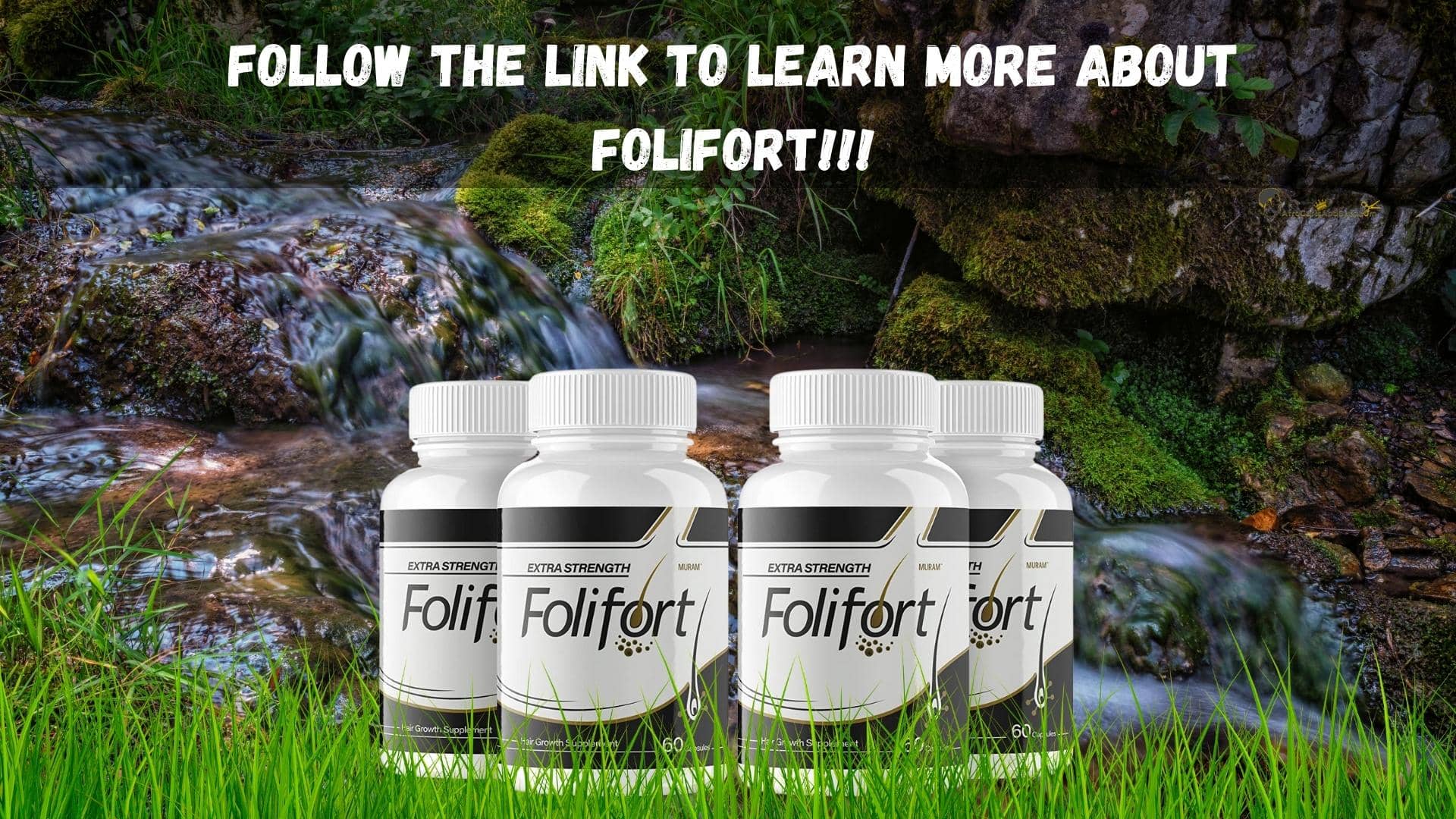 FOLIFORT The key to Long, Strong & Beautiful Natural Locs