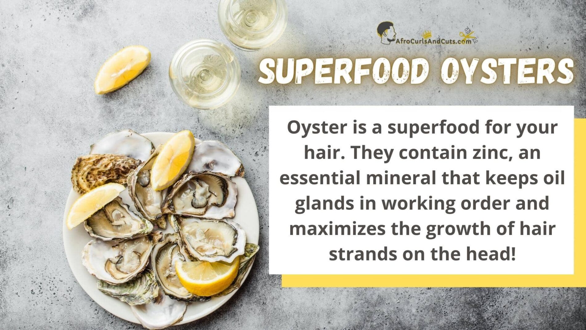 Oysters benefits to block dht