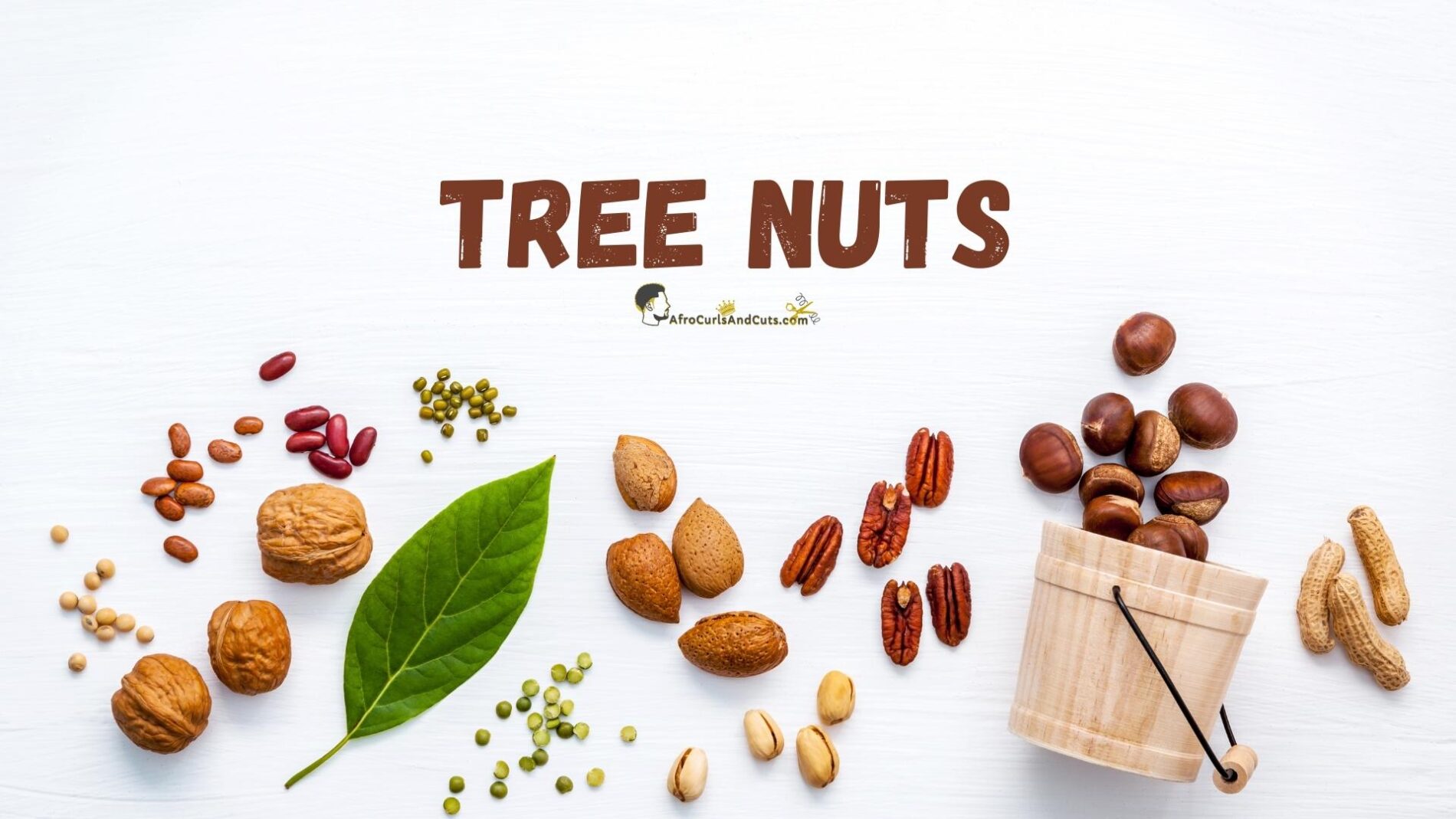 tree nuts vs peanuts to regrow hair