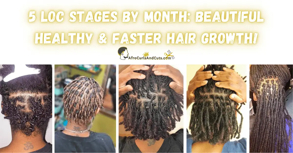5 Loc Stages by Month Beautiful healthy & Faster Hair Growth!