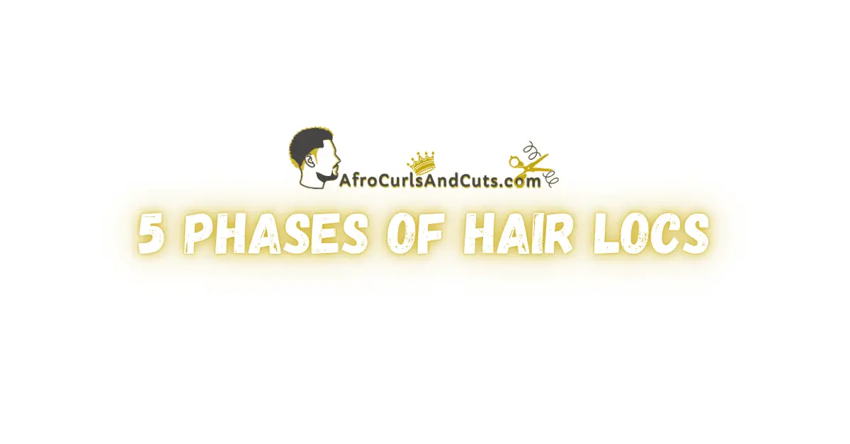 5 Phase of hair locs 