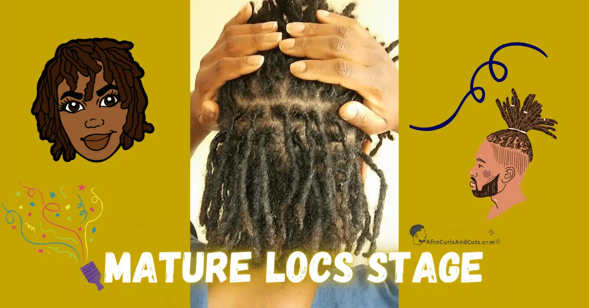 Mature locs Stage