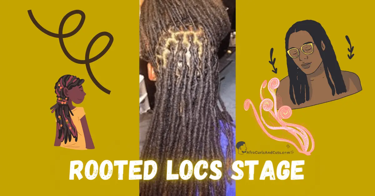 Rooted locs Stage