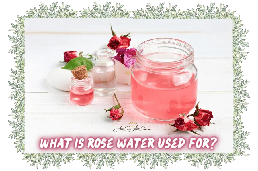 rose water to moisturize your scalp